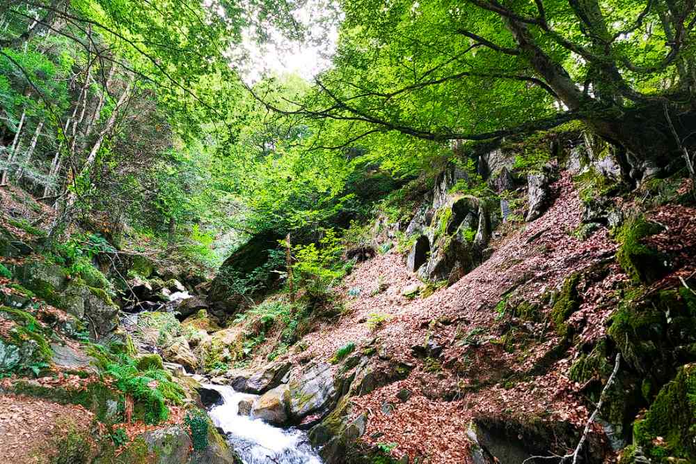 La Cascade d'Arizes